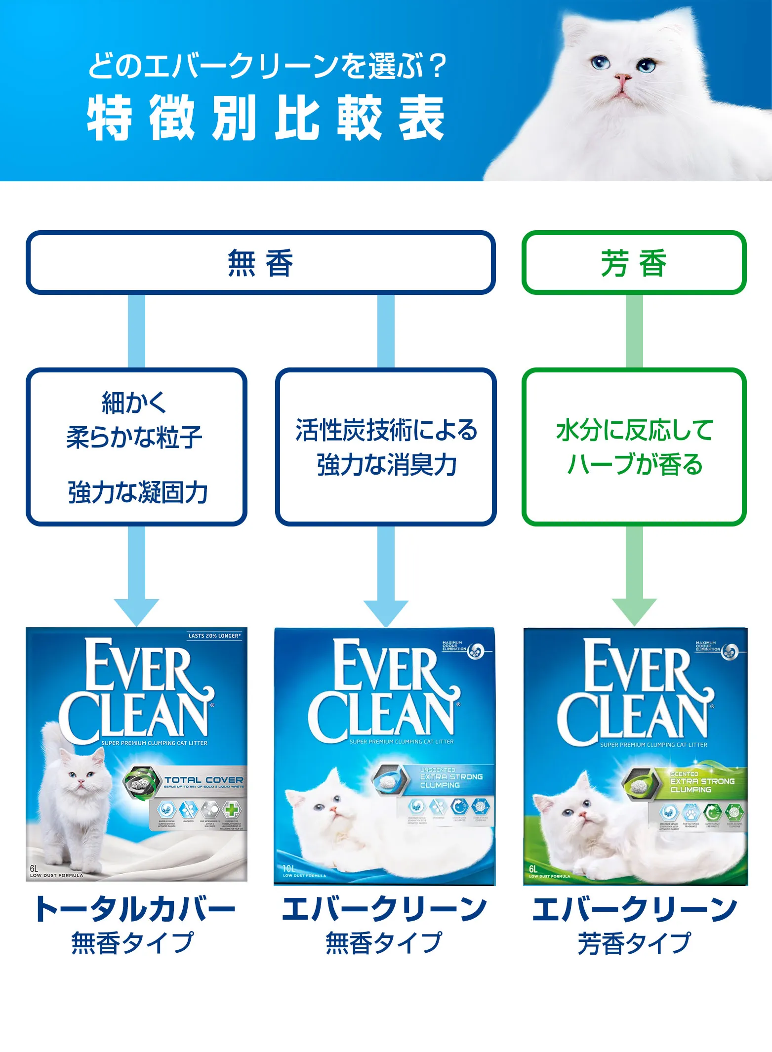 どのエバークリーンを選ぶ？特徴別比較表